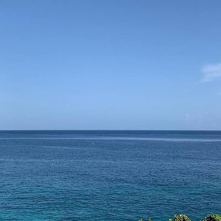 הוילה נגריל Irie Vibes Ocean View מראה חיצוני תמונה